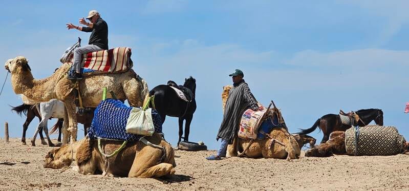essaouira-174-standard-uwwvwd.jpg