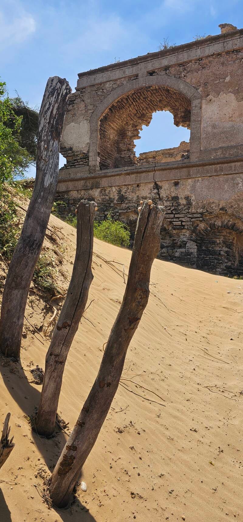 essaouira-186-standard-2jk1be.jpg
