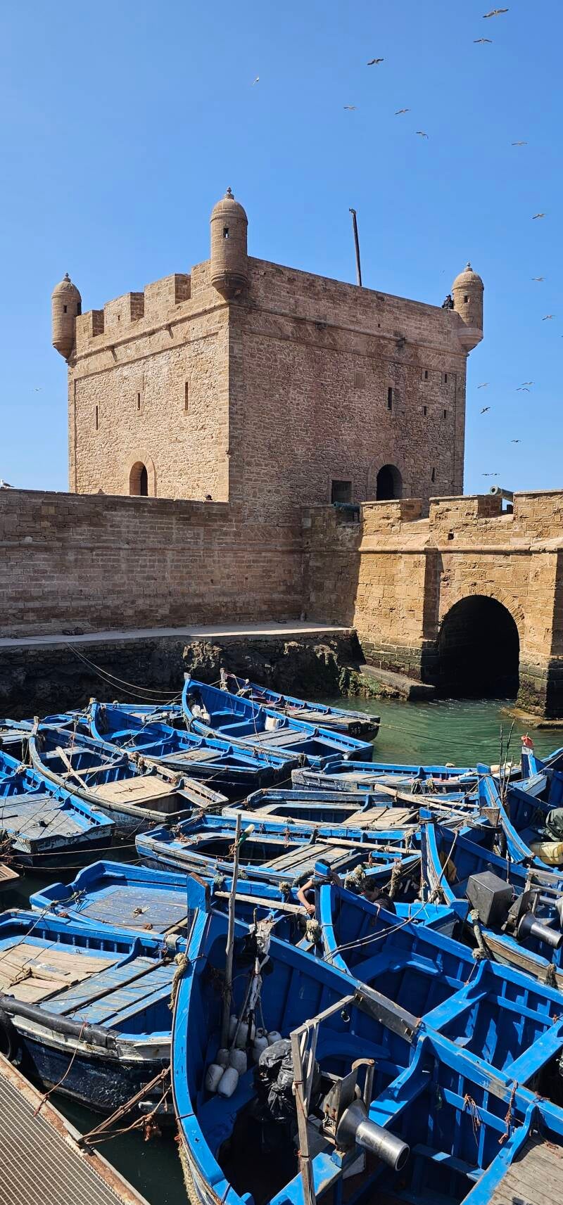 essaouira-54-standard-dqmuoo.jpg