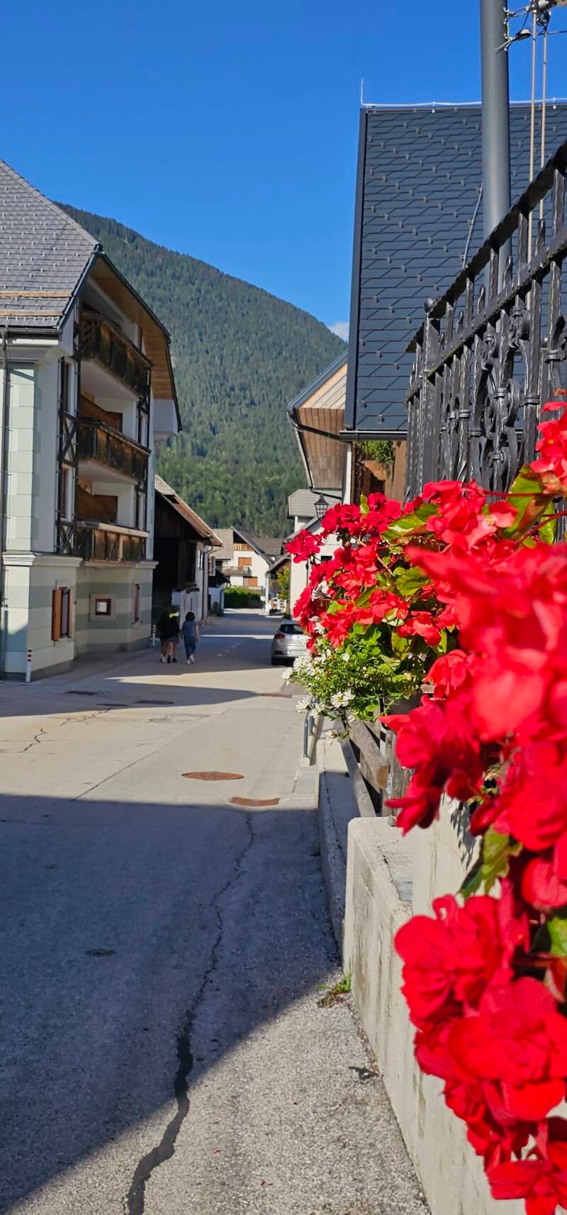 kranjska-gora-460-standard.jpg