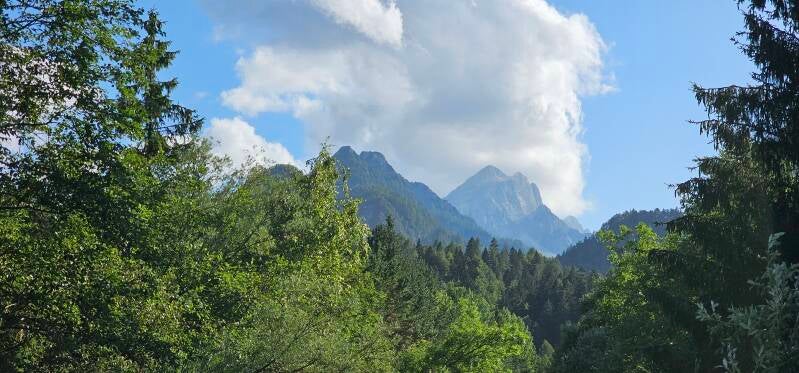 kranjska-gora-467-standard.jpg
