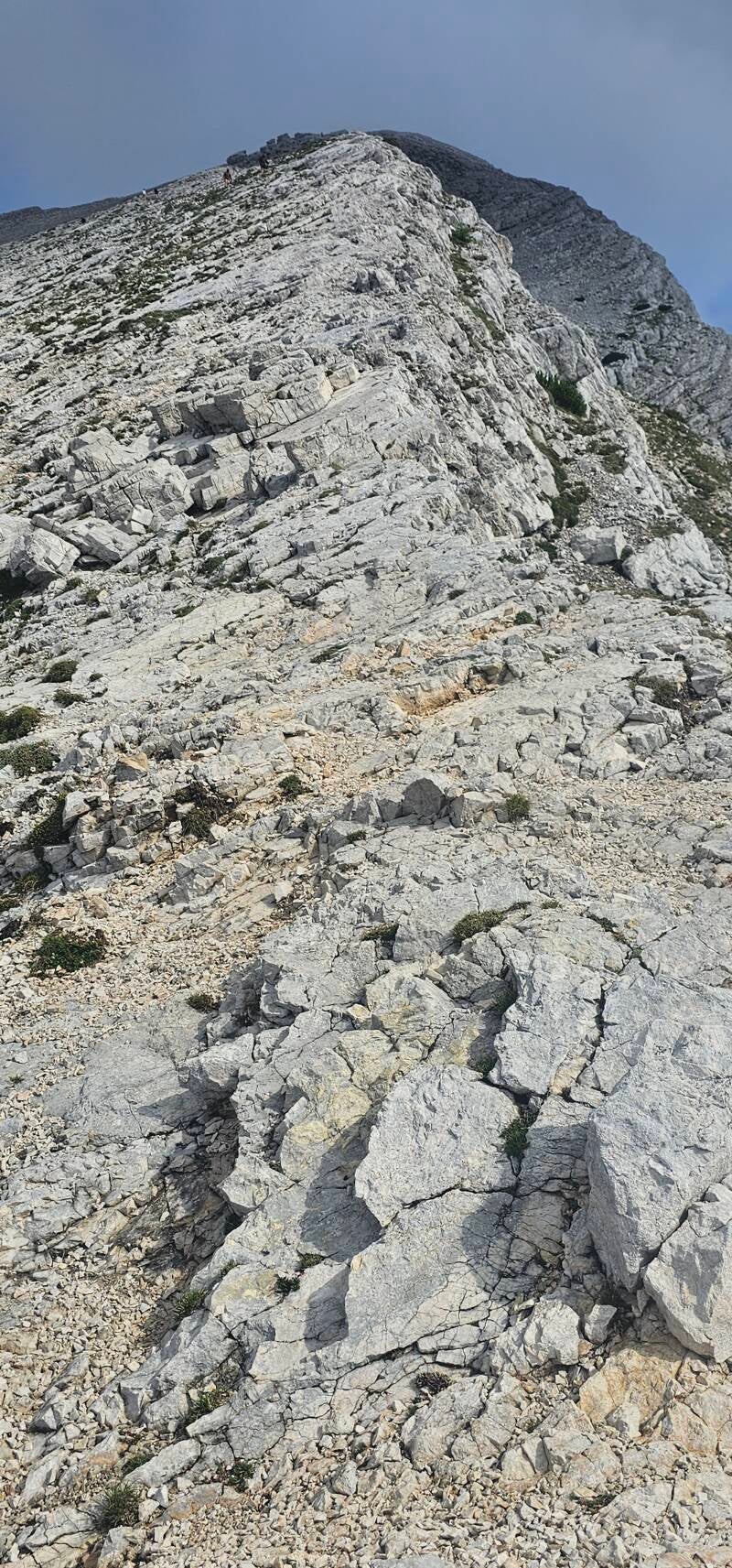 mala-mojstrovka-25-standard.jpg