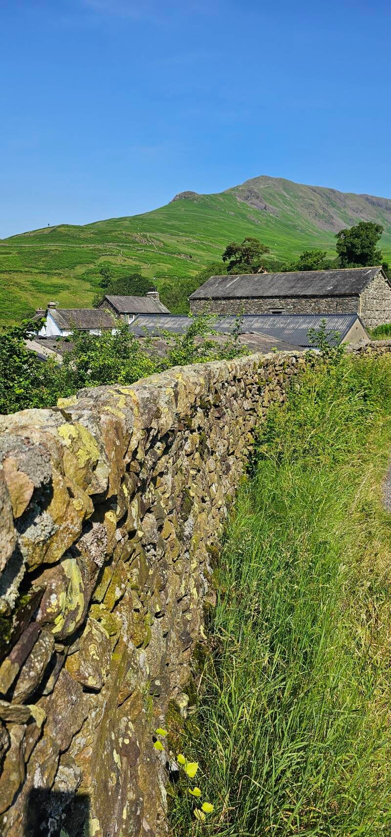 steel-fell-4-standard.jpg