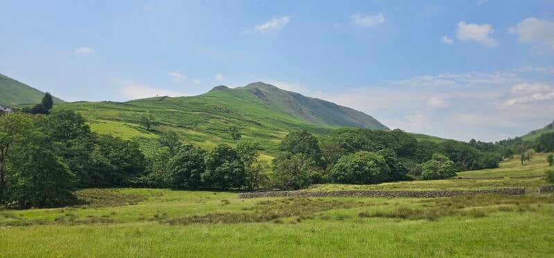 steel-fell-41-standard.jpg