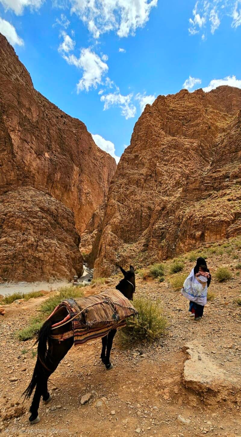 todra-gorge-117-standard.jpg