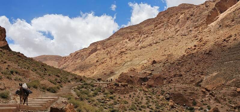 todra-gorge-120-standard.jpg