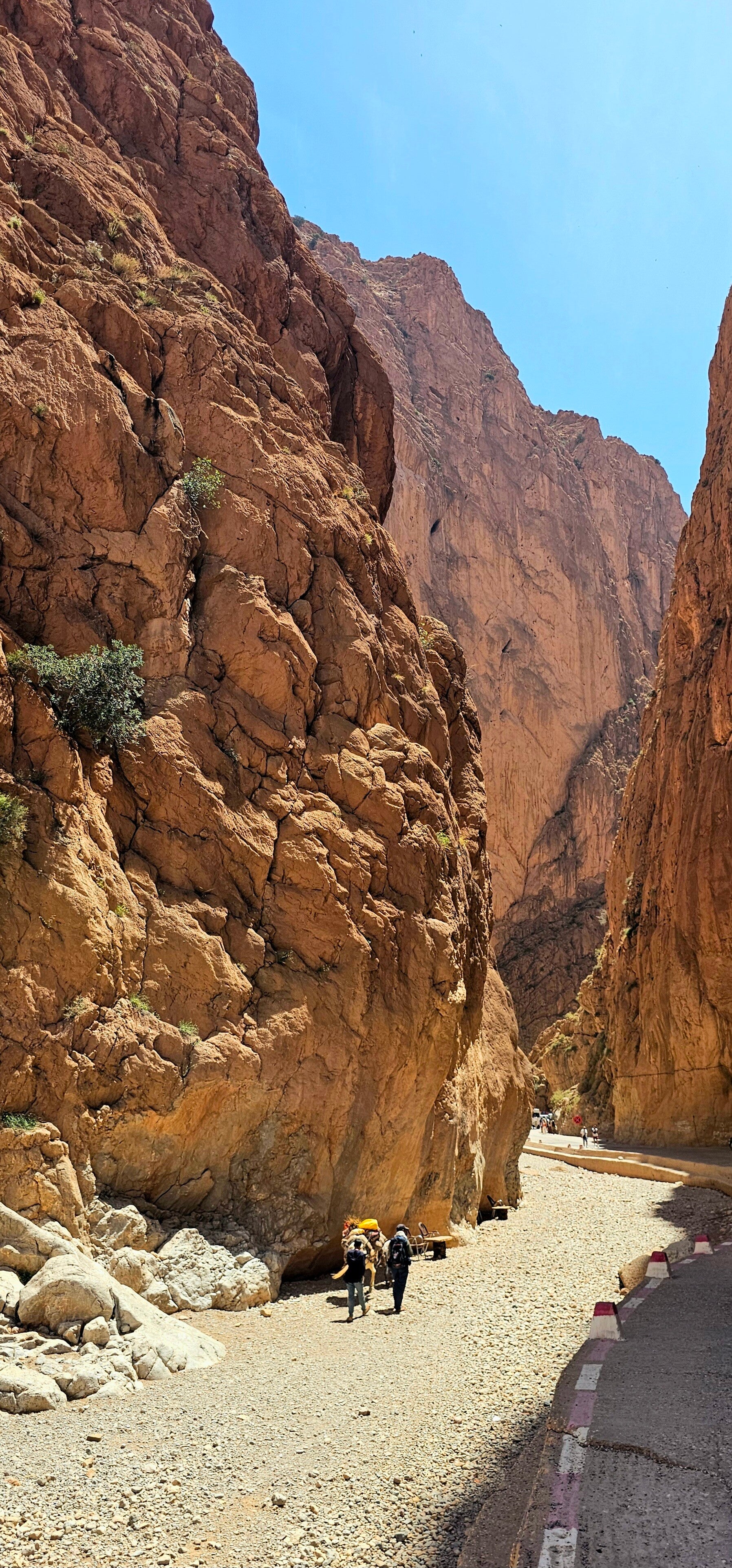Todra Gorge