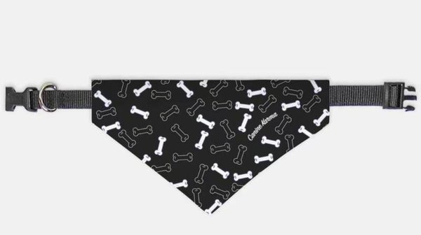 Bone collar pet bandanna