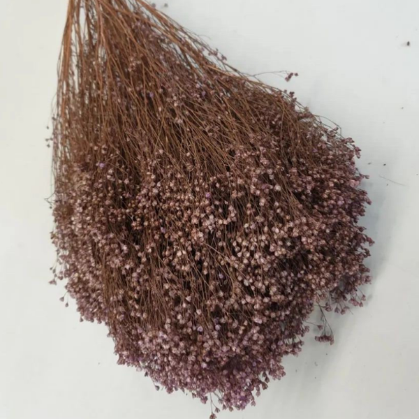 Broom bloom lila 100 gr