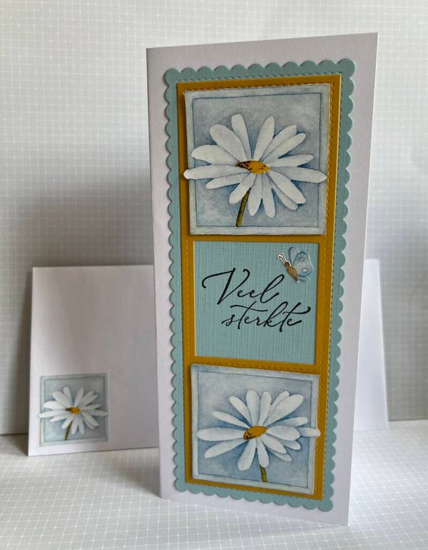 Condoleance - Margrietjes - veel…