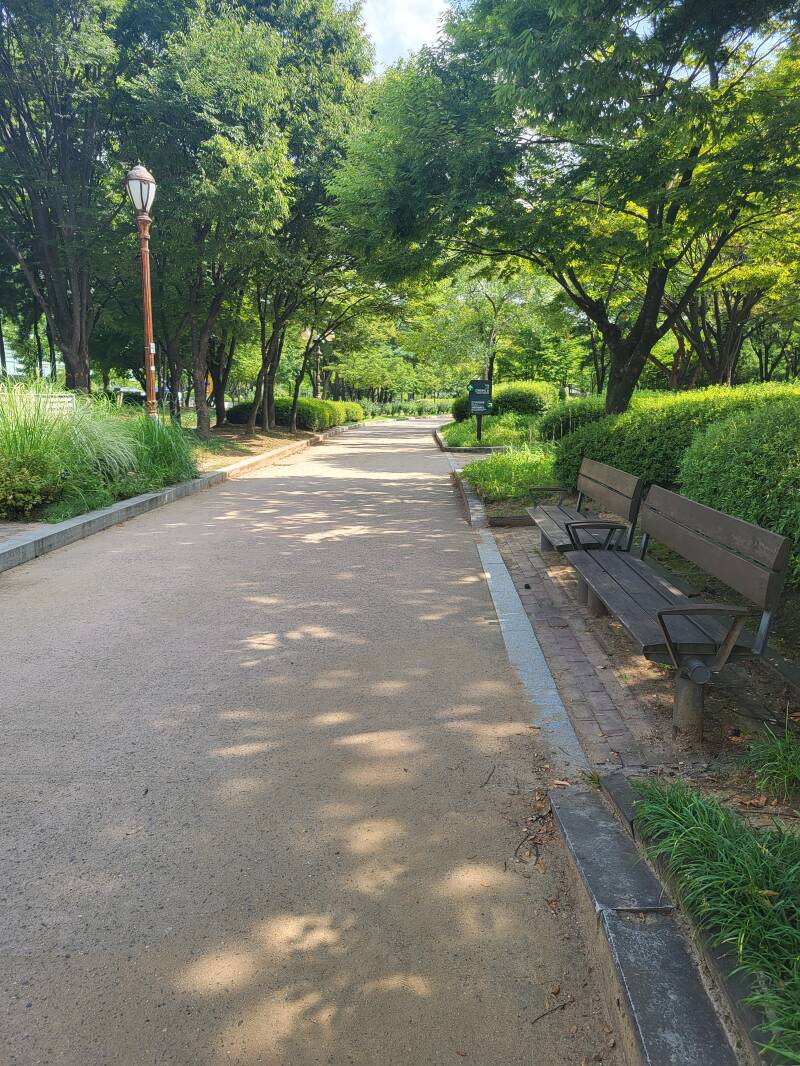 séoul seoul corée du sud korea parc de yeouido park Yeongdeungpo-gu Yeongdeungpo