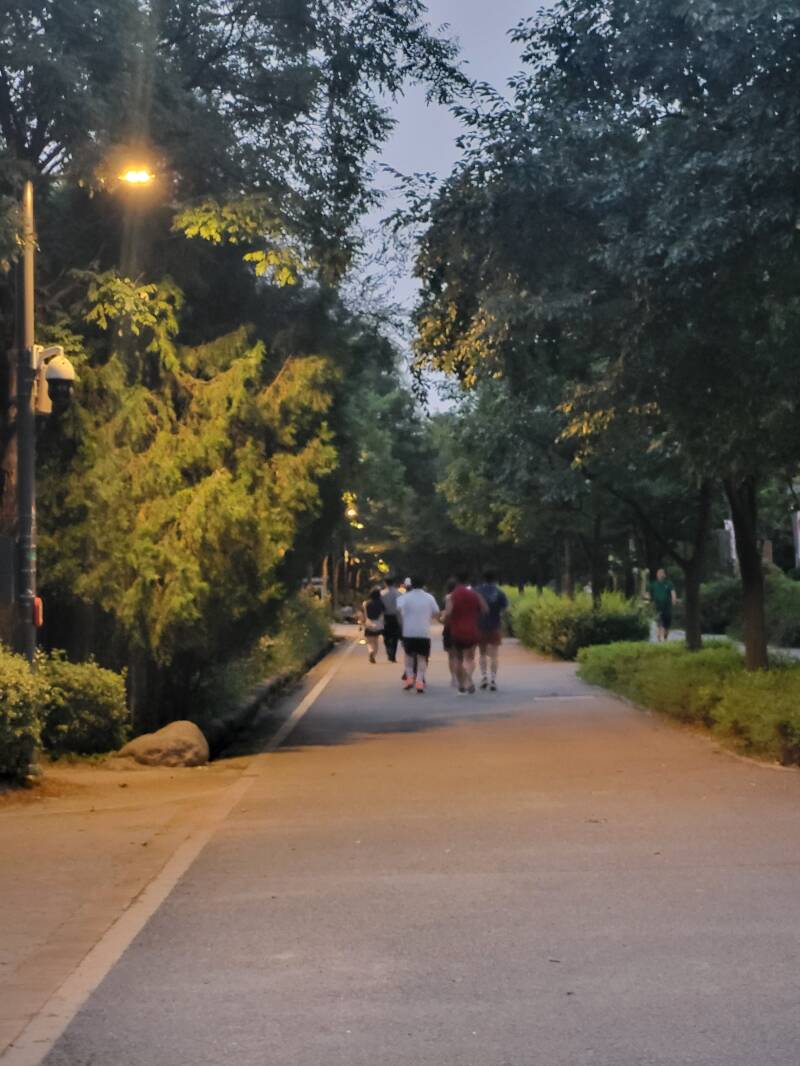 séoul seoul corée du sud korea Seongdong Seongdong-gu seoul forest park forêt de séoul