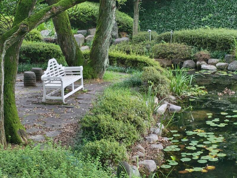 Gyeongju Expo Park Gyeongsang la tour de Gyeongju tower secret garden