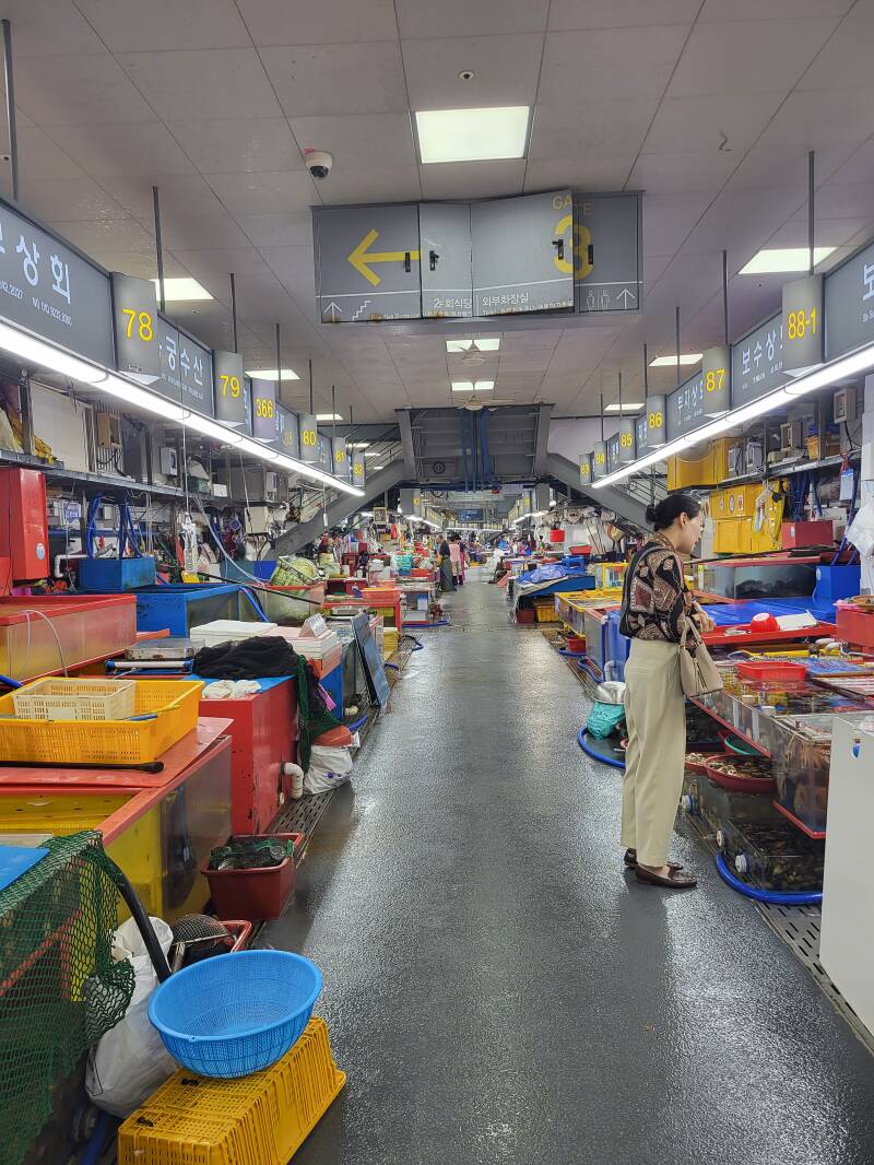 Busan Pusan Corée Korea Gyeongsang du Sud marché jalgachi market