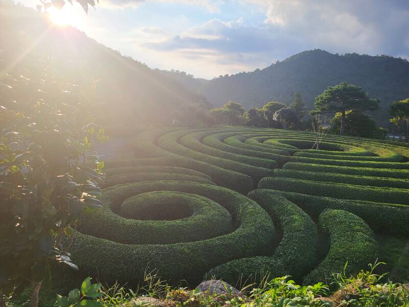 corée du sud korea boseong jeolla du sud