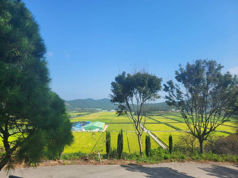 corée du sud korea boseong jeolla du sud