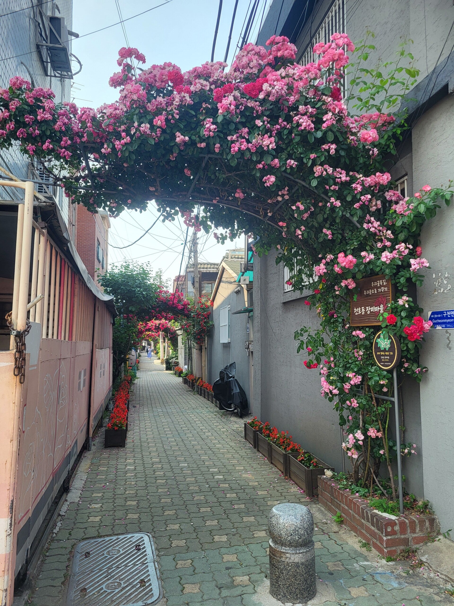 séoul seoul corée du sud korea la corée et moi