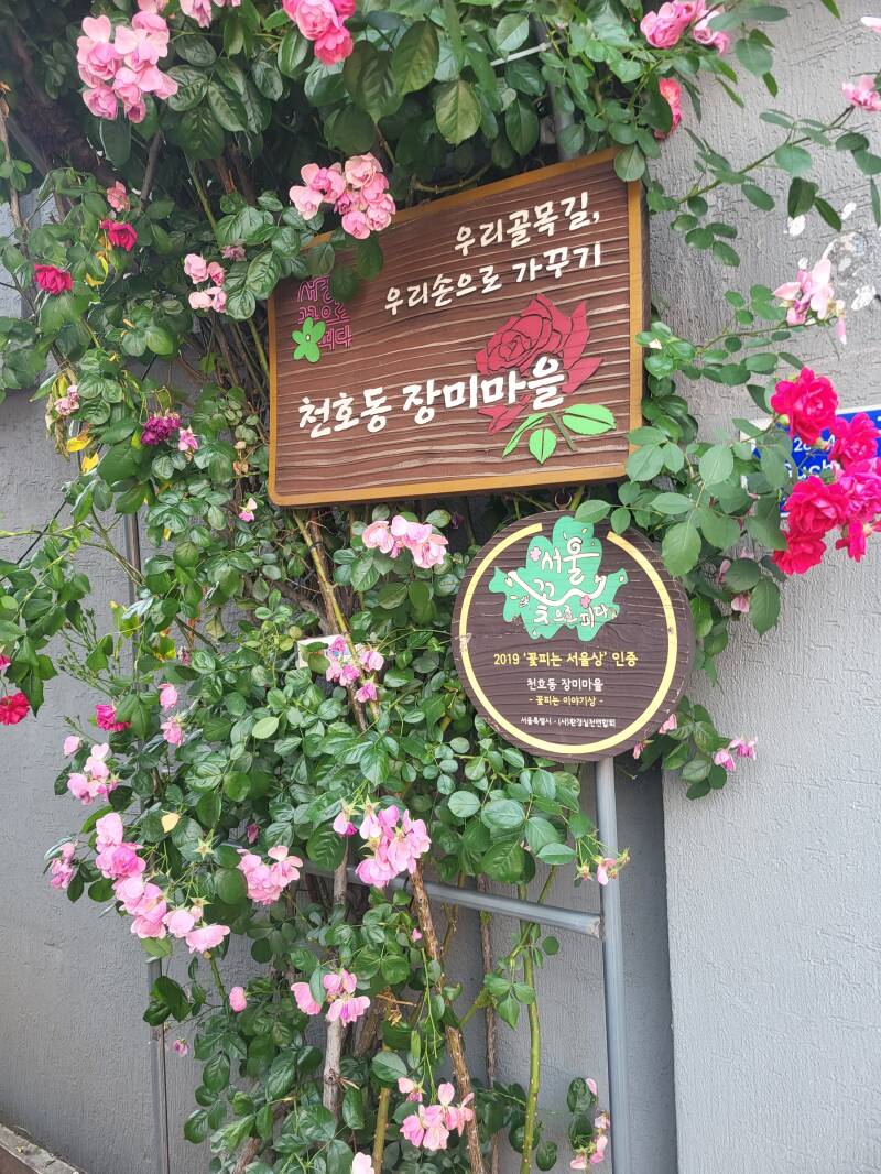 séoul seoul korea corée du sud Cheonho-dong rose village Gangdong-gu