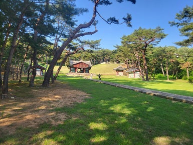 séoul séoul corée du sud korea goyang west five royam tombs