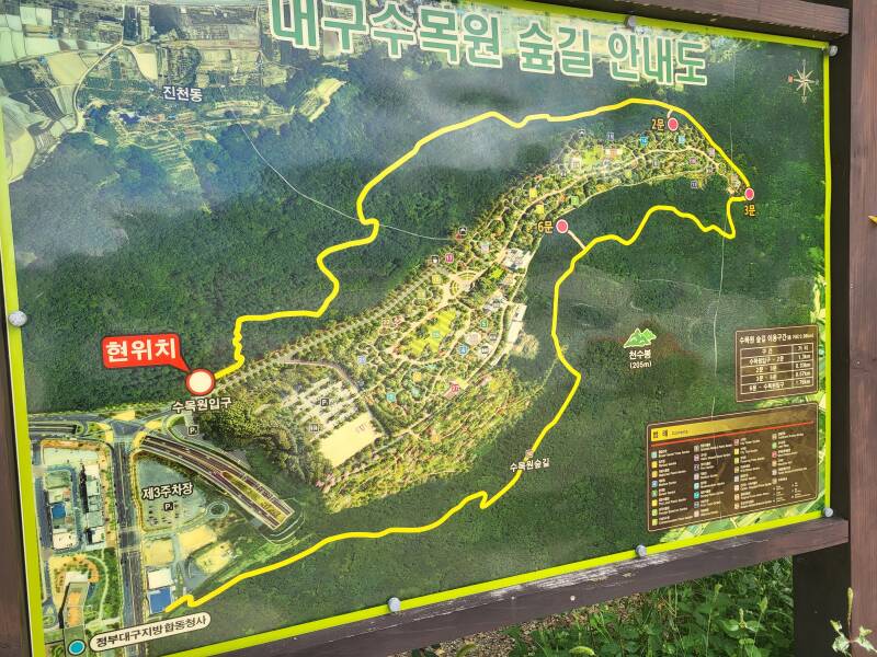 corée su sud korea daegu North Gyeongsang du Nord  arboretum