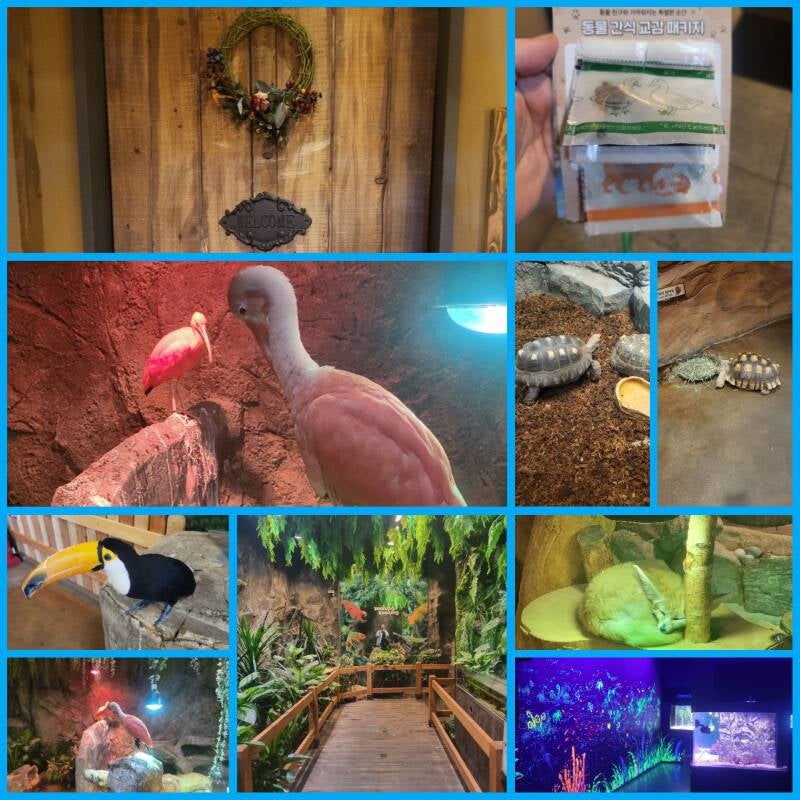 séoul seoul corée du sud korea  hanam zzolung zoolung gyeonggi