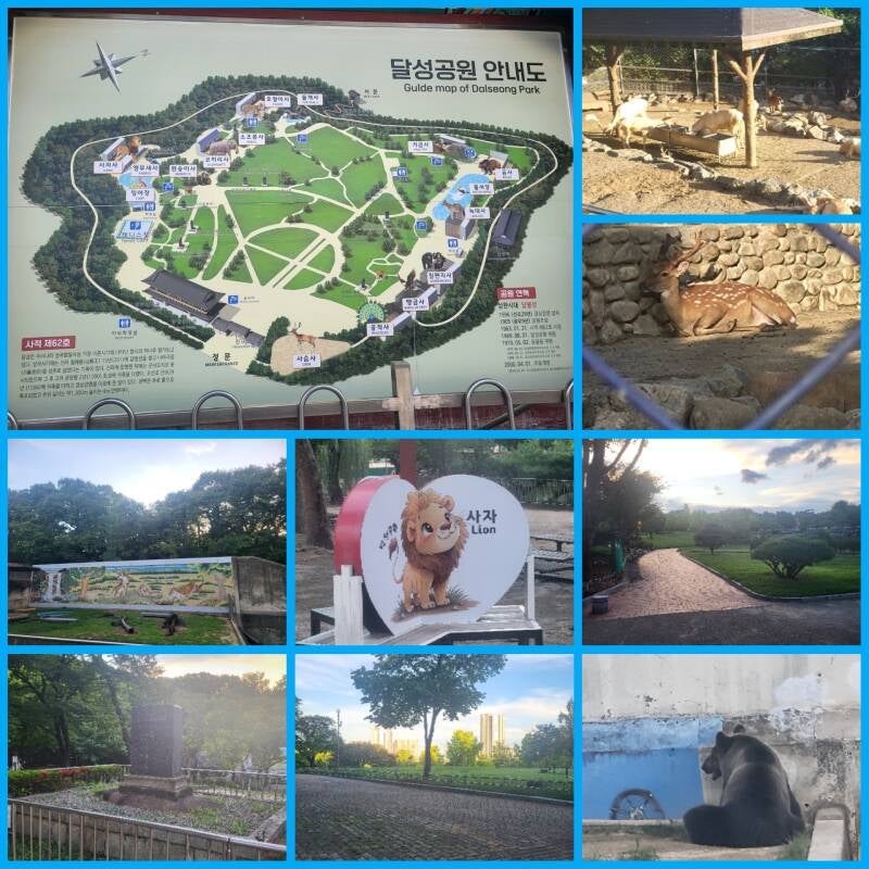 corée du sud korea daegu taegu parc dalseong park zoo