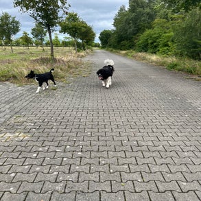 img_7891-1.jpeg