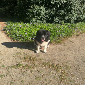 img_2586-2.jpeg