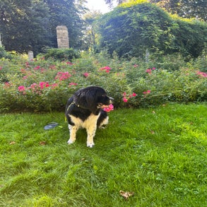 img_2672-4.jpeg