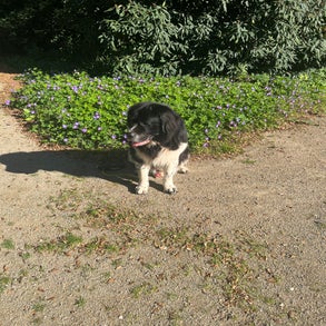 img_2594-2.jpeg