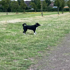 img_7796.jpeg