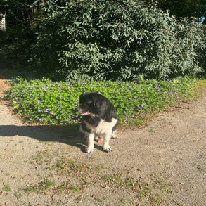 img_2577-3.jpeg