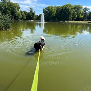 img_3046-1.jpeg