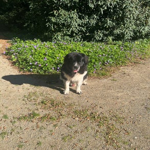 img_2584-3.jpeg