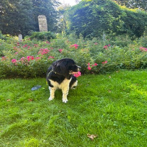 img_2663-4.jpeg