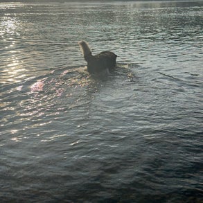 img_1978-standard-4jfn4b.jpg
