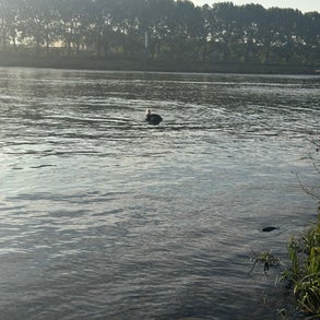 img_2005-standard-m2zaql.jpg