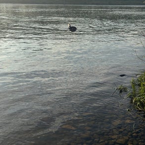 img_2008-standard-l6r247.jpg