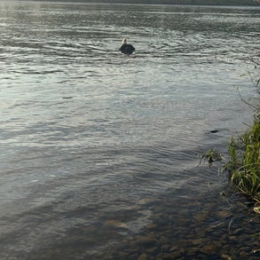 img_2010-standard-tpptd0.jpg