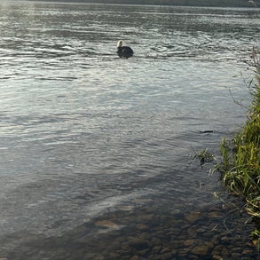 img_2013-standard-g7iqp9.jpg