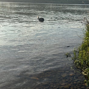 img_2015-standard-v0ruun.jpg