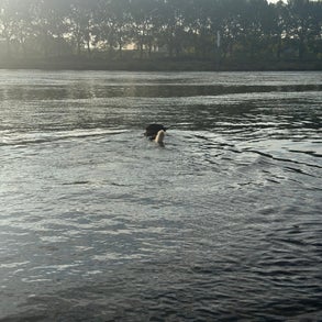 img_2094-standard-gw5mv5.jpg