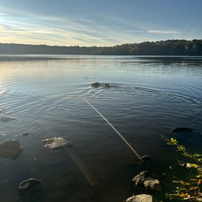 img_2411-standard-0g7v58.jpg