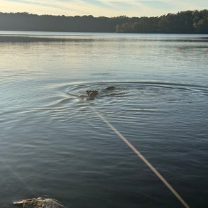 img_2415-standard-d4w54b.jpg
