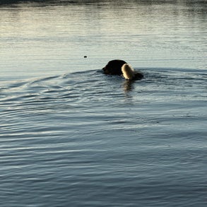 img_2477-standard-d49cyc.jpg