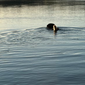 img_2487-standard-bljgd7.jpg