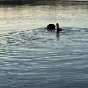img_2488-standard-fhf8so.jpg