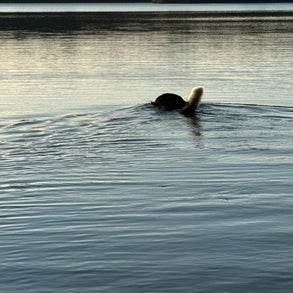 img_2490-standard-ymwksd.jpg