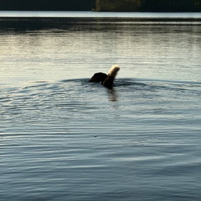 img_2492-standard-3g9lce.jpg