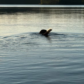 img_2493-standard-q8u30q.jpg